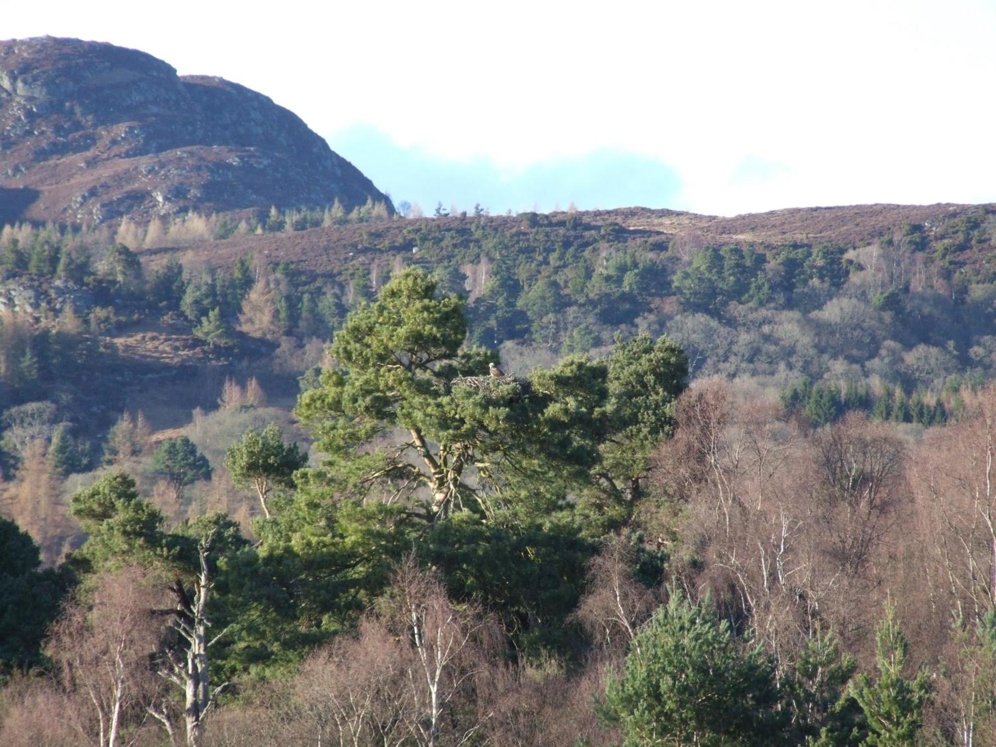 Kinloch House Hotel Blairgowrie and Rattray ภายนอก รูปภาพ