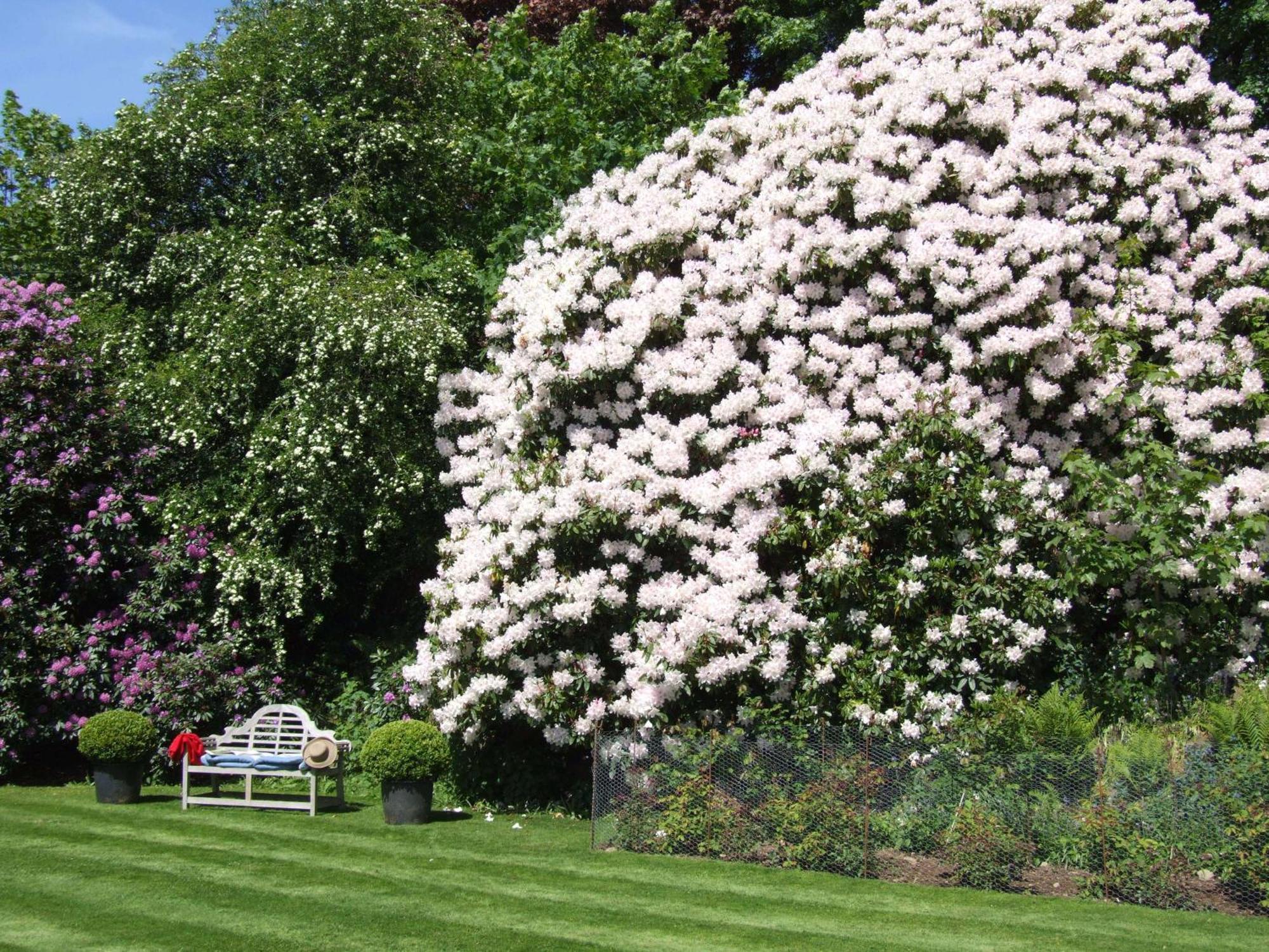 Kinloch House Hotel Blairgowrie and Rattray ภายนอก รูปภาพ